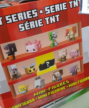 TNT Series 25 Mystery Box - Minecraft Mini-Figures